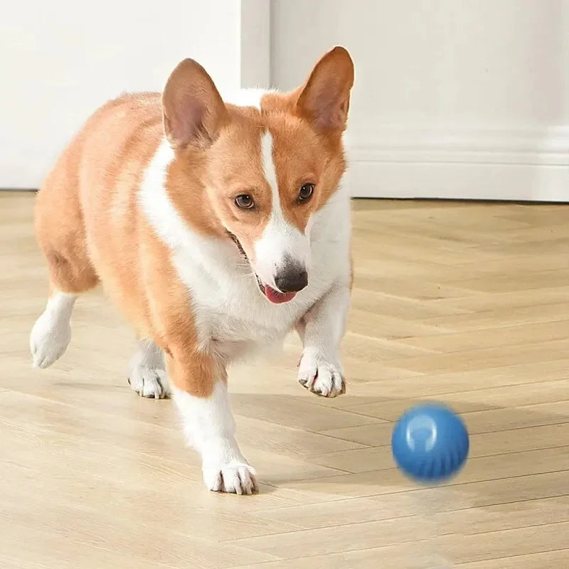 Bola Inteligente para Cães